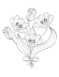 Flower Bouquet Tulips Tracing Worksheets Pdf, Free Vectors File